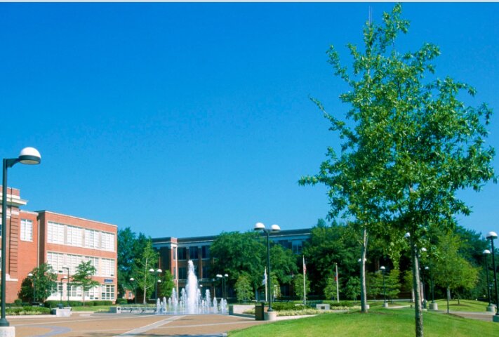international students